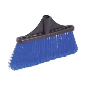 Matura LATINO  fir mediu albastra