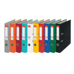 BIBLIORAFT PLASTIFIAT 5CM ESSELTE ECO