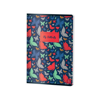 CAIET A4 60 FILE DICTANDO