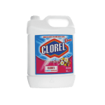 CLOR 5L PARFUMAT EFEKT