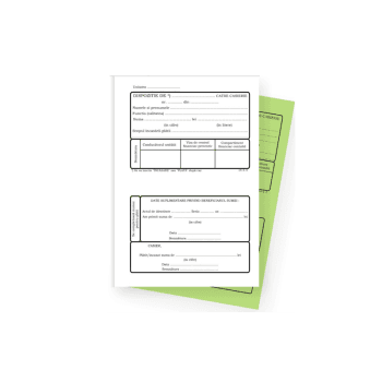 DISPOZITIE PLATA CASIERIE AUTOCOPIATIVA