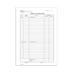 RAPORT GESTIUNE ZILNIC