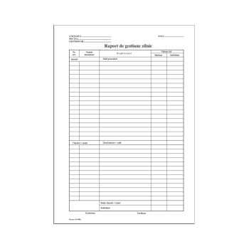 RAPORT GESTIUNE ZILNIC