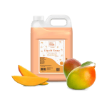 SAPUN LICHID 5L IDEA HOME MANGO